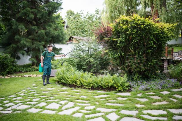 Best Affordable Pest Control Services  in Ke Providence, LA
