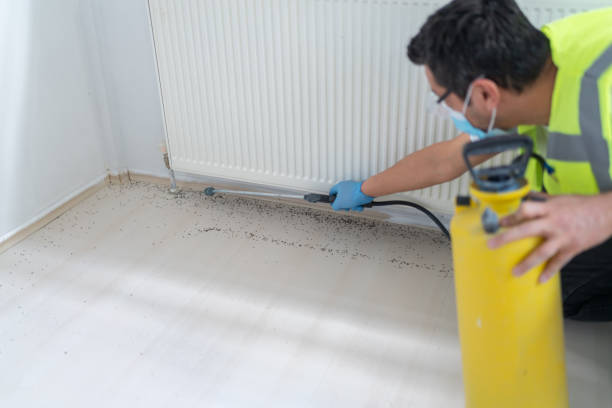 Best Best Pest Control Companies  in Ke Providence, LA